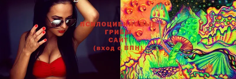 Псилоцибиновые грибы Psilocybine cubensis Яровое